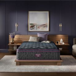 Beautyrest World Class Level Three Plush Pillow top